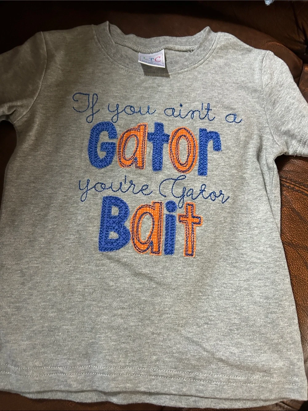 3 outfits University Gators Kids Blue & Orange Check Dress with Alligator Patch